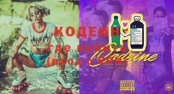 хмурый Инта