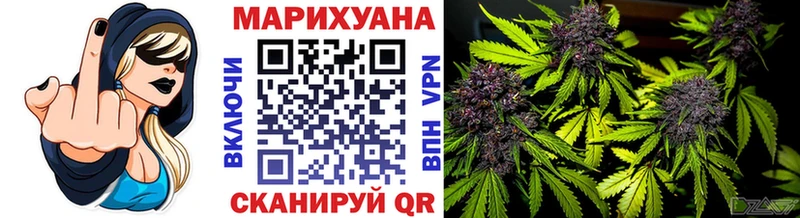 Купить закладки  Бологое  Шишки марихуана ГИДРОПОН 